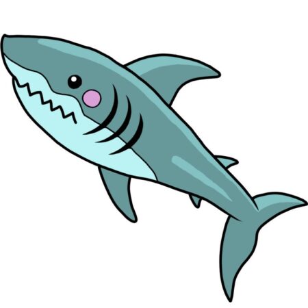 Group logo of Shark